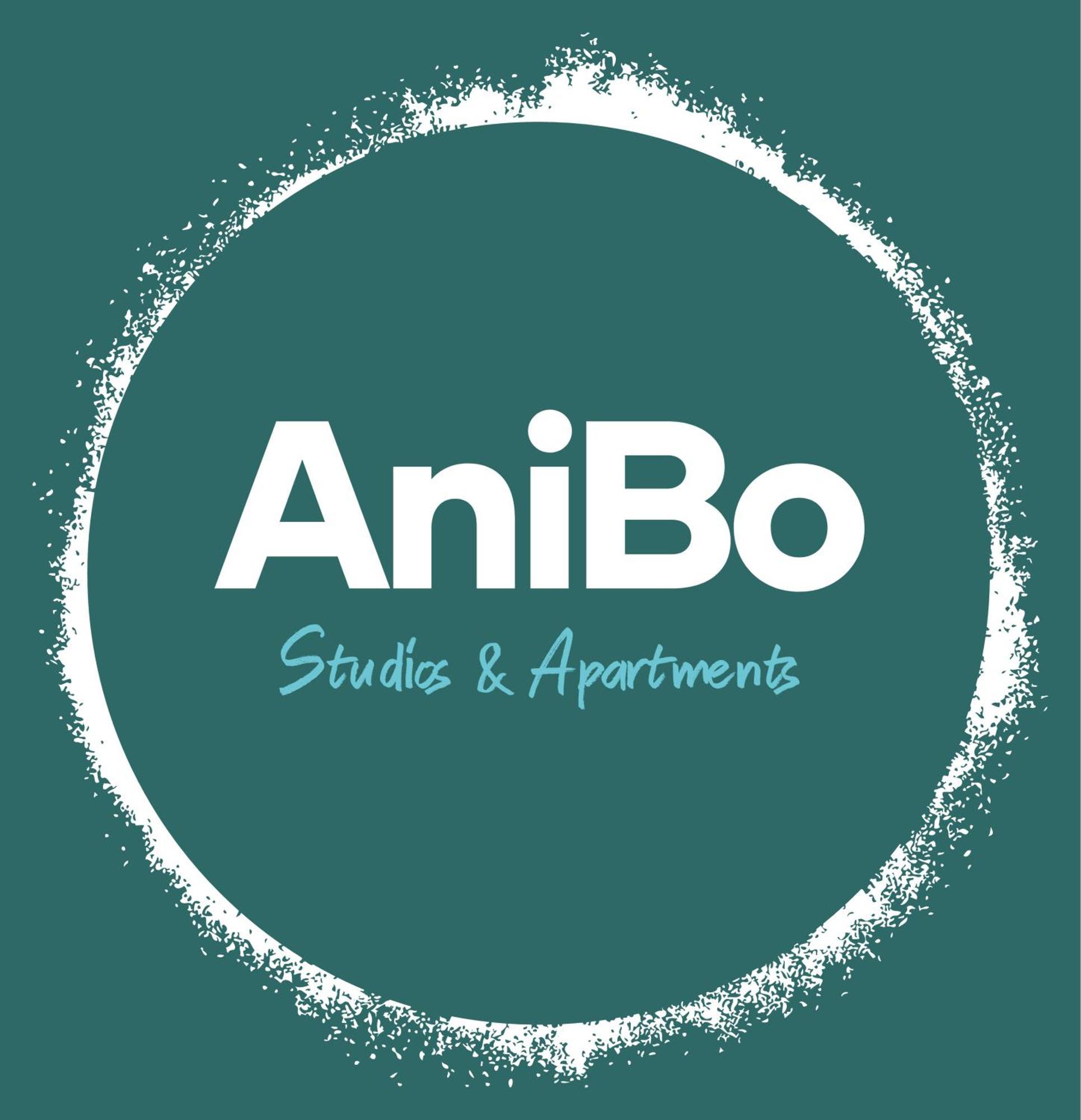 Anibo & Zp 413 Soluň
